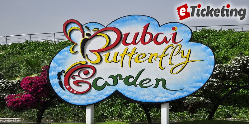 Dubai Butterfly Garden