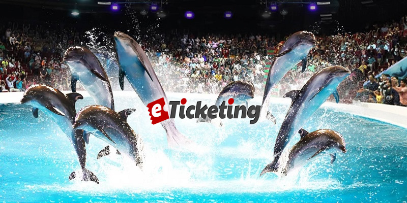 Dolphin and Seal Show