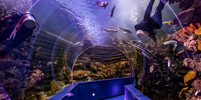 Sharjah Aquarium Sharjah Aquarium