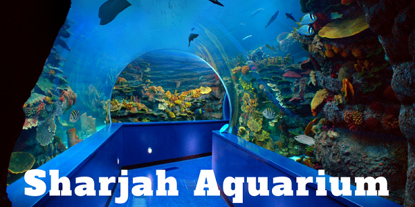 Sharjah Aquarium