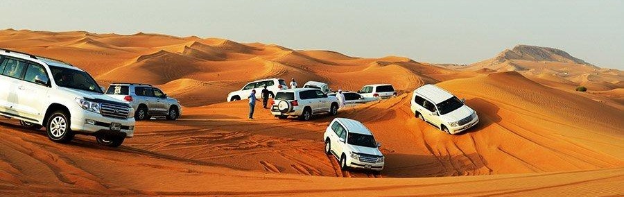 Red Dune Desert Safari Tickets Tohama Travel